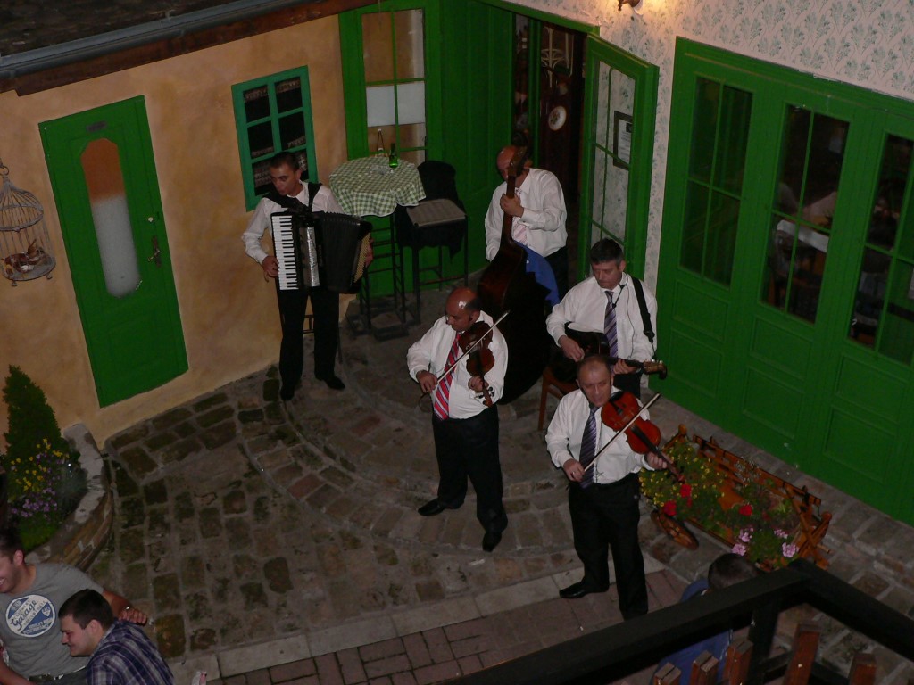 Vajdaság: A szülőföldem